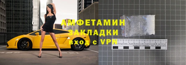 гидра Горно-Алтайск
