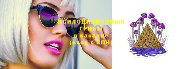 гидра Горно-Алтайск
