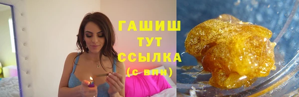 гидра Горно-Алтайск