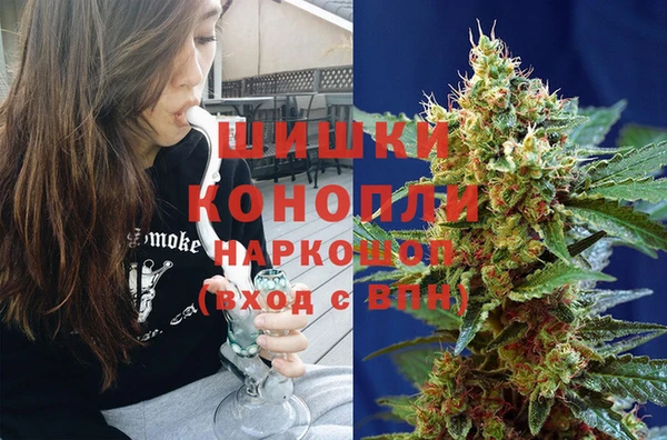 гидра Горно-Алтайск